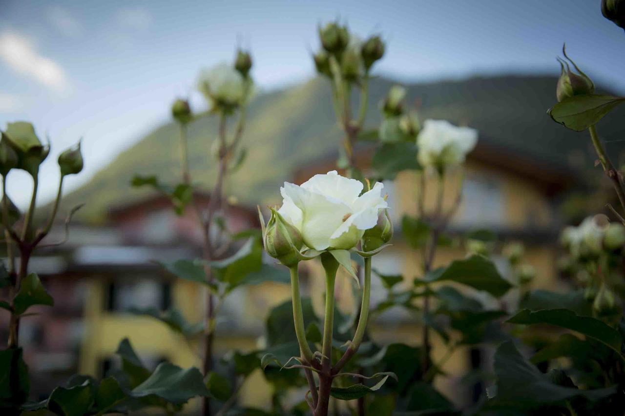 La Collina Degli Ulivi Apartment Vercana Luaran gambar